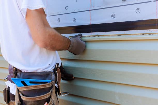 Affordable Siding Repair solutions in Cameron, WV